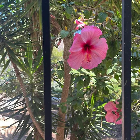 Spacious Child Friendly In Moraira With Seaview Villa Teulada